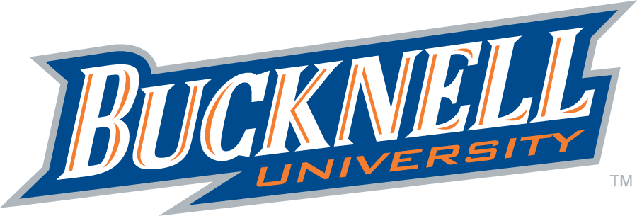 Bucknell Bison 2002-2011 Wordmark Logo v3 diy iron on heat transfer